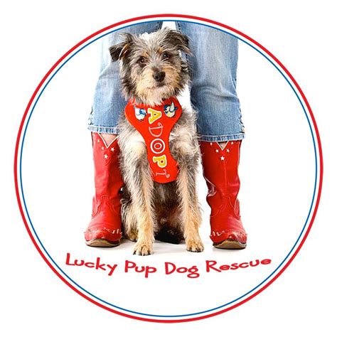 Lucky pup rescue - Lucky Pup Rescue is a non-profit organization that helps dogs in need find safe and happy forever homes. Learn more about their adoption process, mission, and available pets on their website or Facebook page.
